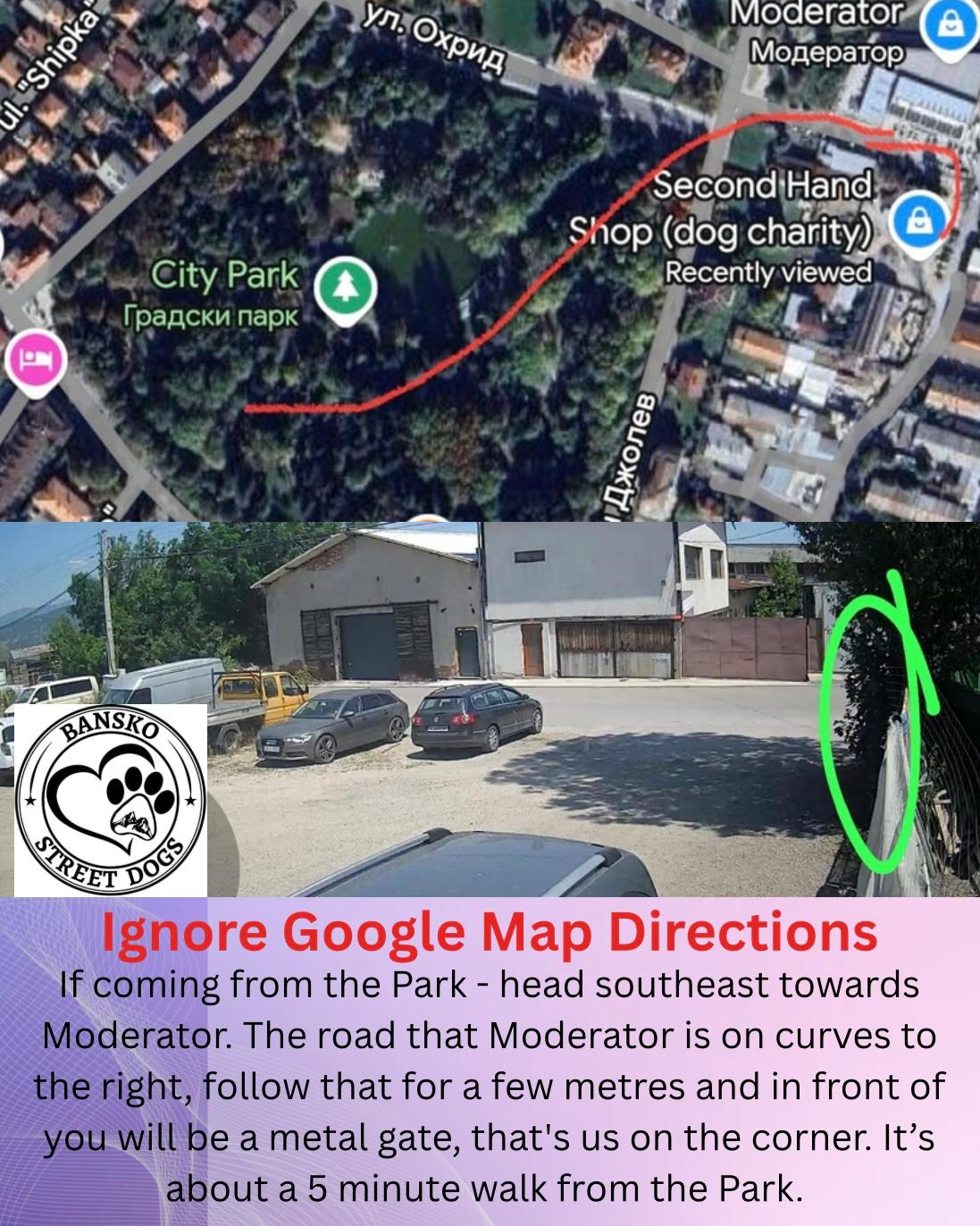 Walk with Bansko Street Dogs