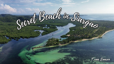 Learn & Chill: Mangrove River
